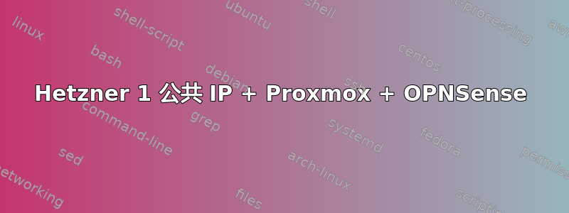 Hetzner 1 公共 IP + Proxmox + OPNSense