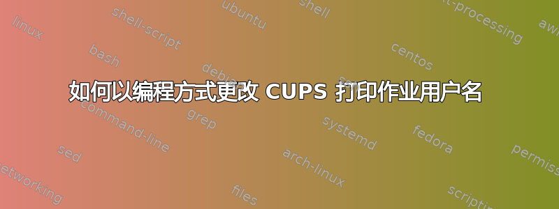 如何以编程方式更改 CUPS 打印作业用户名