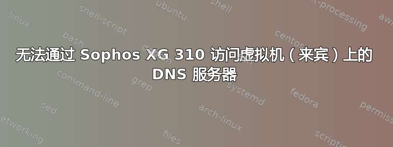 无法通过 Sophos XG 310 访问虚拟机（来宾）上的 DNS 服务器