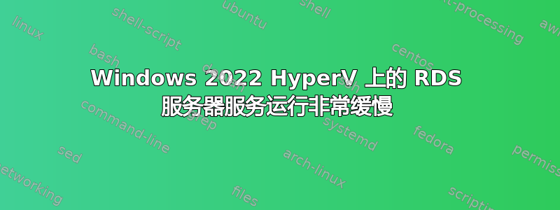 Windows 2022 HyperV 上的 RDS 服务器服务运行非常缓慢