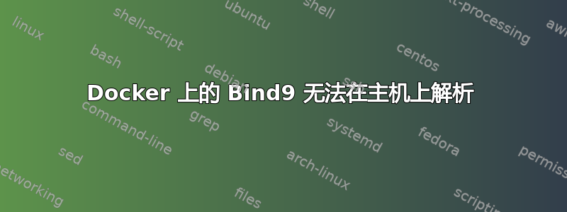 Docker 上的 Bind9 无法在主机上解析