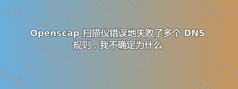 Openscap 扫描仪错误地失败了多个 DNS 规则，我不确定为什么