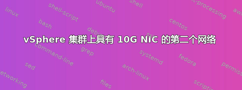 vSphere 集群上具有 10G NIC 的第二个网络