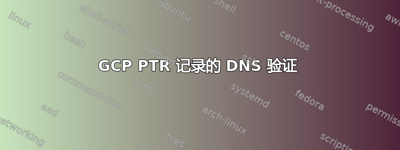 GCP PTR 记录的 DNS 验证