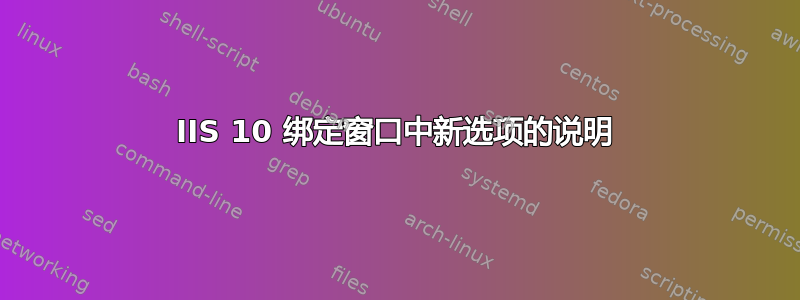 IIS 10 绑定窗口中新选项的说明