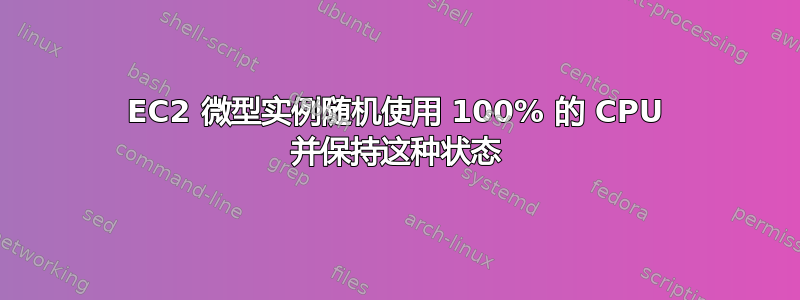 EC2 微型实例随机使用 100% 的 CPU 并保持这种状态