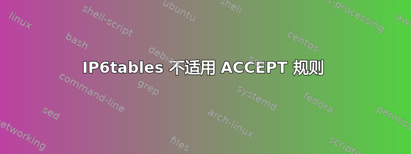 IP6tables 不适用 ACCEPT 规则