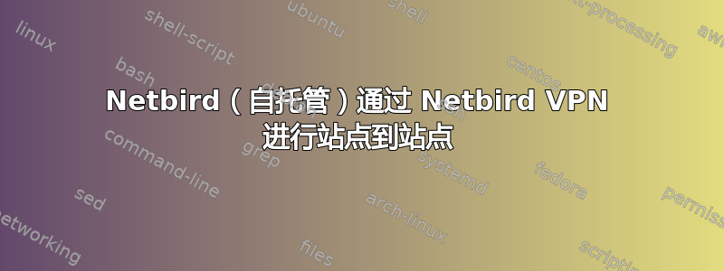 Netbird（自托管）通过 Netbird VPN 进行站点到站点