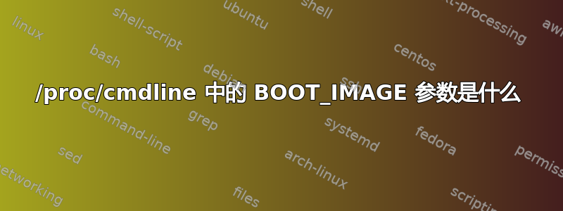 /proc/cmdline 中的 BOOT_IMAGE 参数是什么