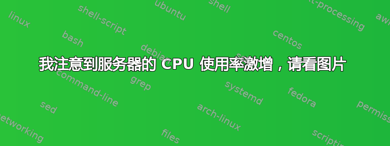 我注意到服务器的 CPU 使用率激增，请看图片