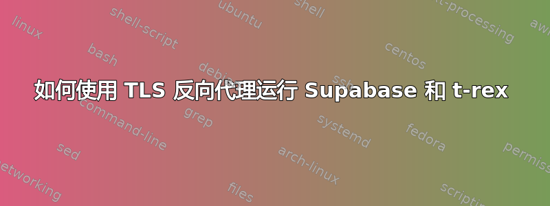 如何使用 TLS 反向代理运行 Supabase 和 t-rex