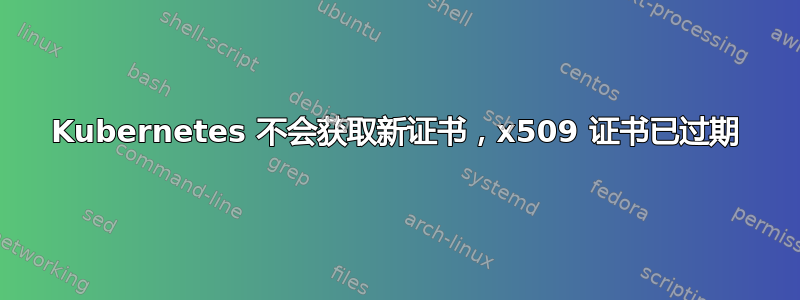 Kubernetes 不会获取新证书，x509 证书已过期