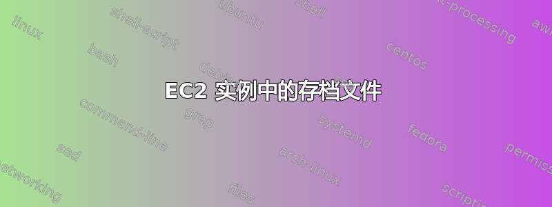 EC2 实例中的存档文件