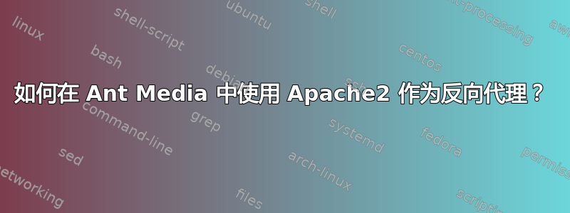 如何在 Ant Media 中使用 Apache2 作为反向代理？