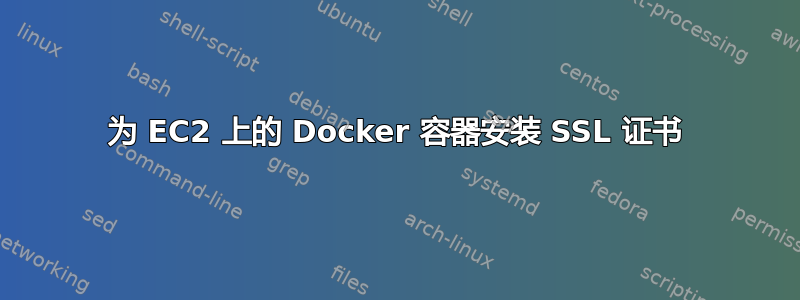 为 EC2 上的 Docker 容器安装 SSL 证书