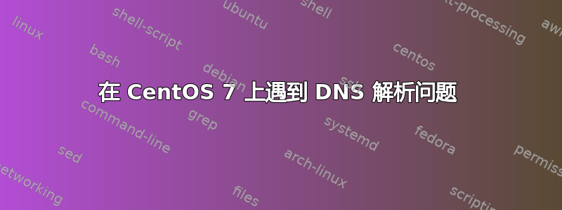 在 CentOS 7 上遇到 DNS 解析问题