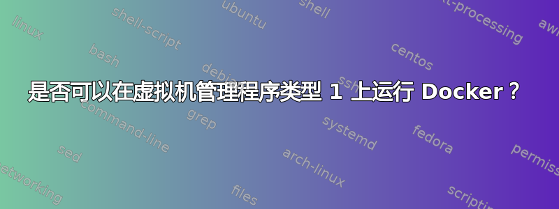 是否可以在虚拟机管理程序类型 1 上运行 Docker？