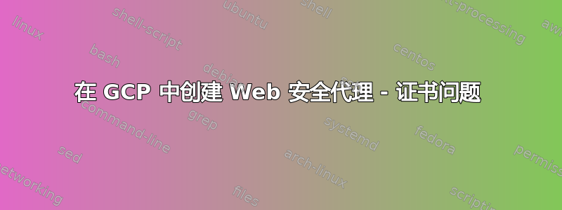 在 GCP 中创建 Web 安全代理 - 证书问题