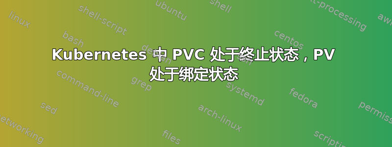 Kubernetes 中 PVC 处于终止状态，PV 处于绑定状态