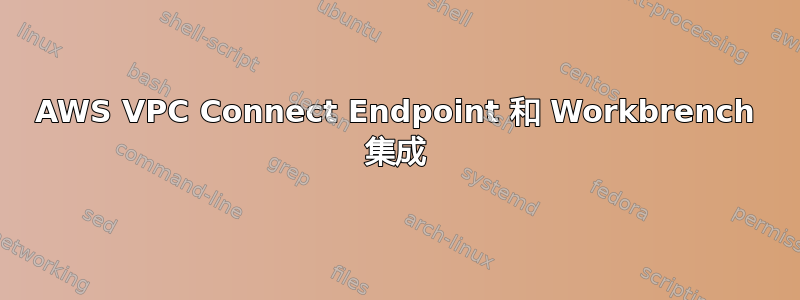 AWS VPC Connect Endpoint 和 Workbrench 集成