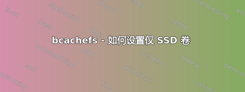 bcachefs - 如何设置仅 SSD 卷