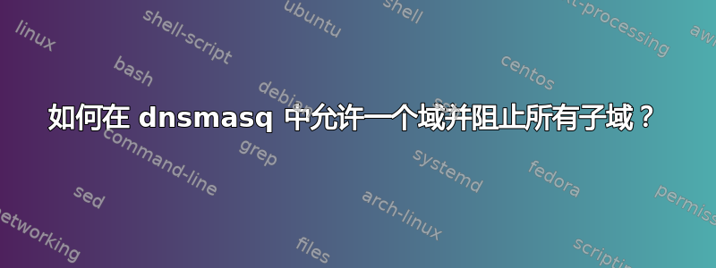 如何在 dnsmasq 中允许一个域并阻止所有子域？