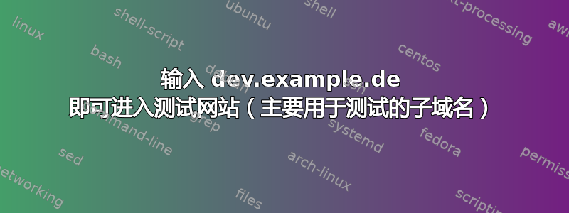 输入 dev.example.de 即可进入测试网站（主要用于测试的子域名）