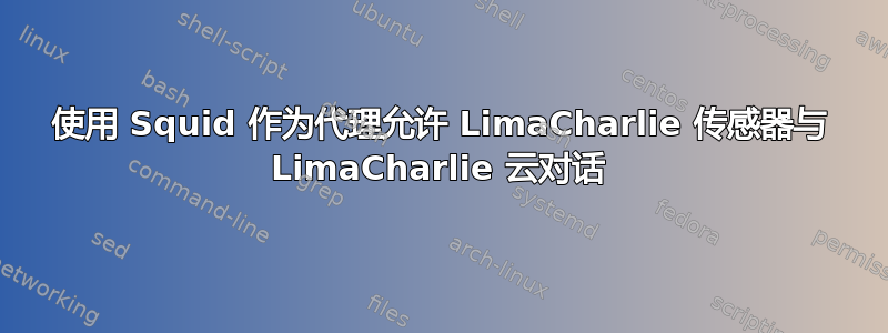 使用 Squid 作为代理允许 LimaCharlie 传感器与 LimaCharlie 云对话