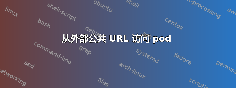 从外部公共 URL 访问 pod