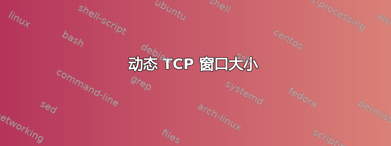 动态 TCP 窗口大小