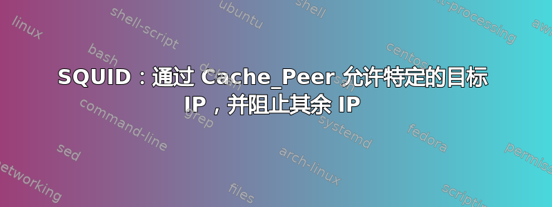 SQUID：通过 Cache_Peer 允许特定的目标 IP，并阻止其余 IP