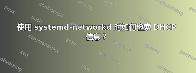 使用 systemd-networkd 时如何检索 DHCP 信息？