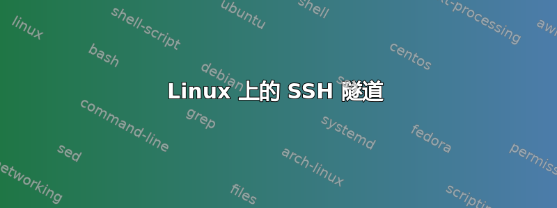 Linux 上的 SSH 隧道