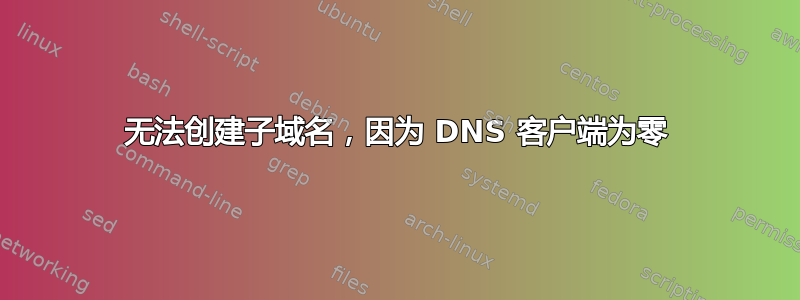 无法创建子域名，因为 DNS 客户端为零