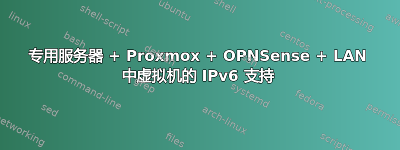 专用服务器 + Proxmox + OPNSense + LAN 中虚拟机的 IPv6 支持