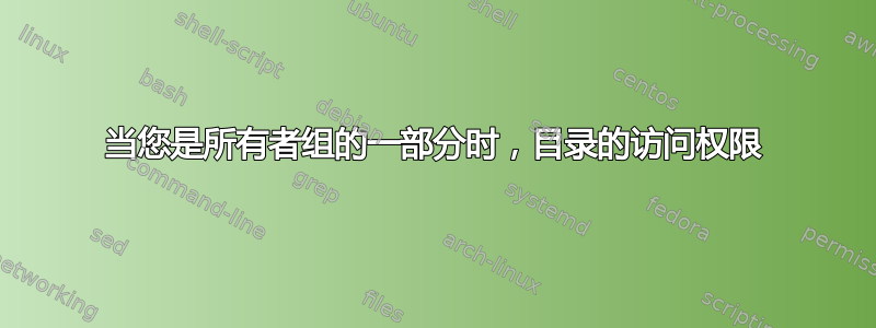 当您是所有者组的一部分时，目录的访问权限