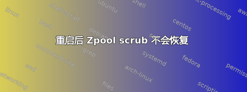 重启后 Zpool scrub 不会恢复