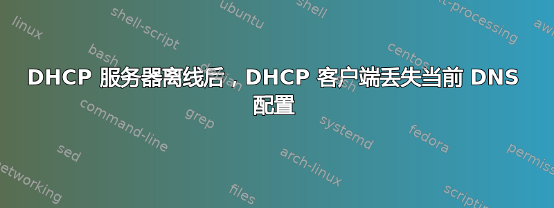 DHCP 服务器离线后，DHCP 客户端丢失当前 DNS 配置