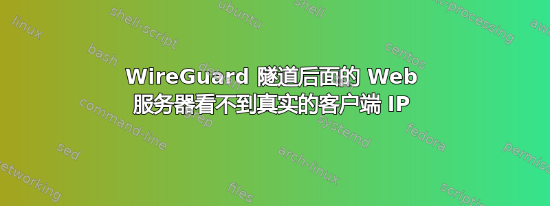 WireGuard 隧道后面的 Web 服务器看不到真实的客户端 IP