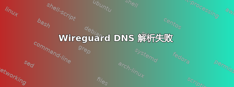 Wireguard DNS 解析失败