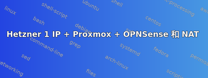 Hetzner 1 IP + Proxmox + OPNSense 和 NAT