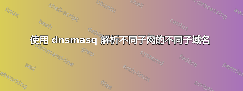 使用 dnsmasq 解析不同子网的不同子域名