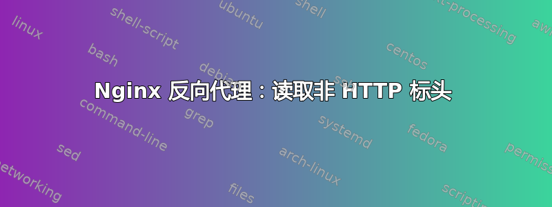 Nginx 反向代理：读取非 HTTP 标头