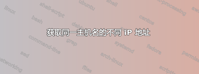 获取同一主机名的不同 IP 地址