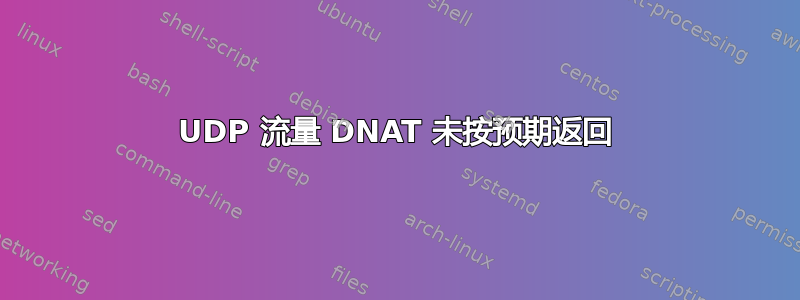 UDP 流量 DNAT 未按预期返回