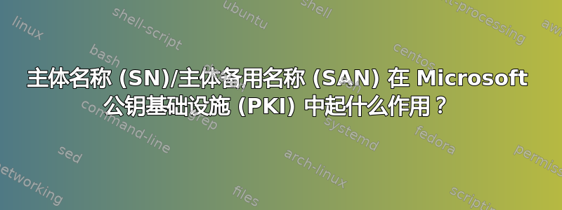 主体名称 (SN)/主体备用名称 (SAN) 在 Microsoft 公钥基础设施 (PKI) 中起什么作用？
