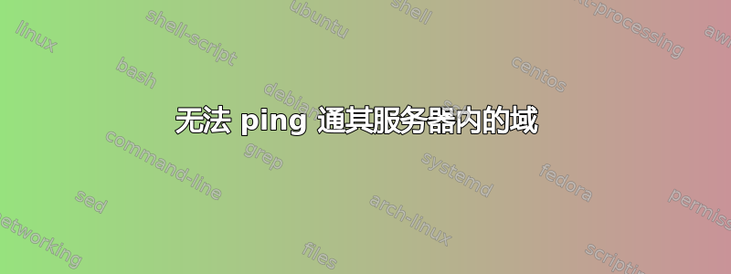 无法 ping 通其服务器内的域 