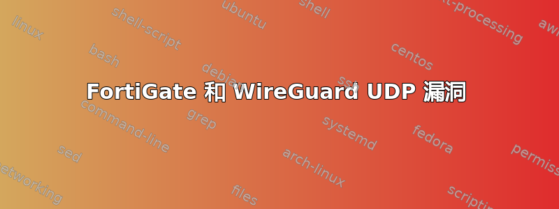 FortiGate 和 WireGuard UDP 漏洞