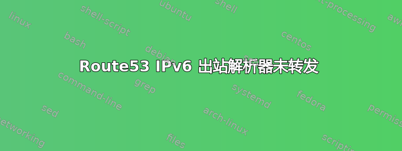 Route53 IPv6 出站解析器未转发