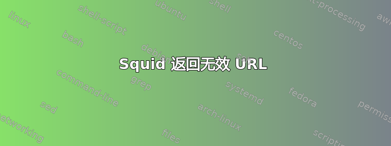 Squid 返回无效 URL